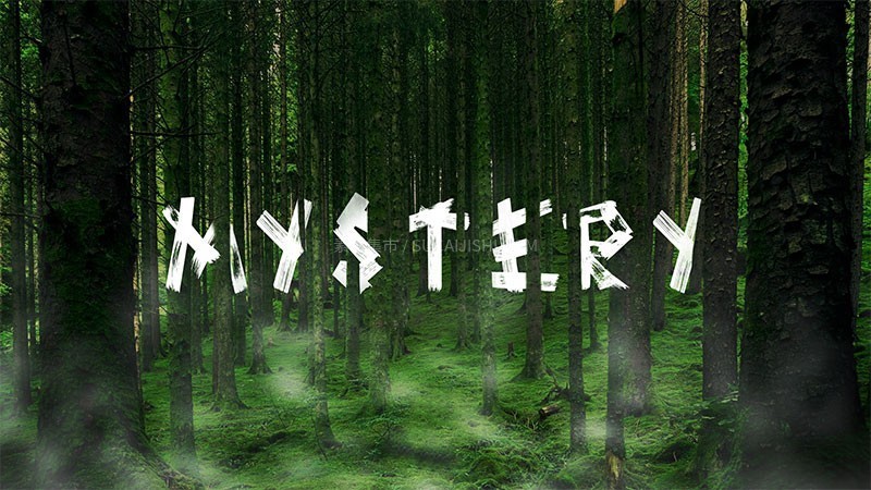 Viking现代美感手刷字体